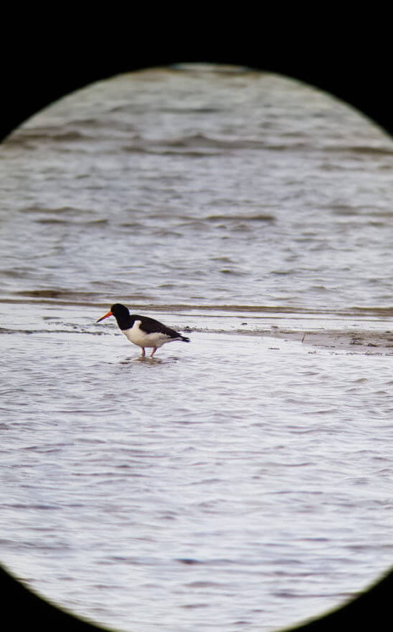 info-551-886 info-551-886