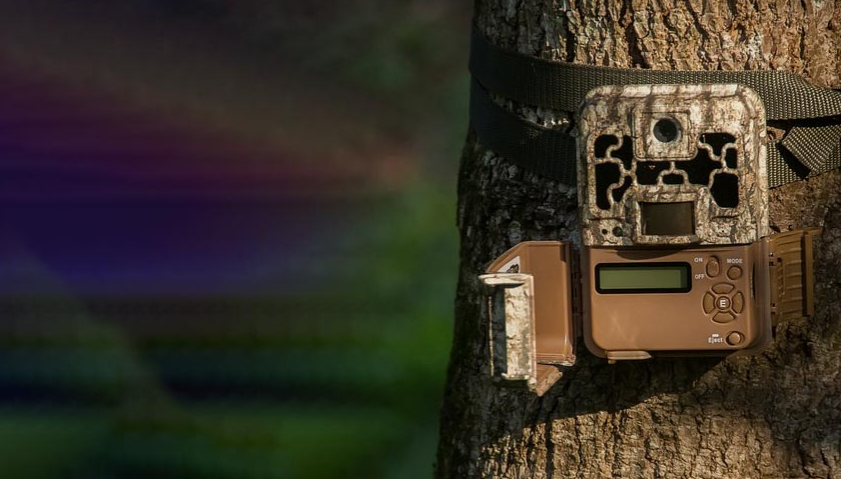 info-841-481 info-841-481